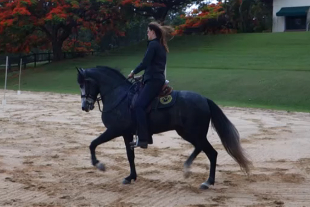 Video auf Vimeo anschauen