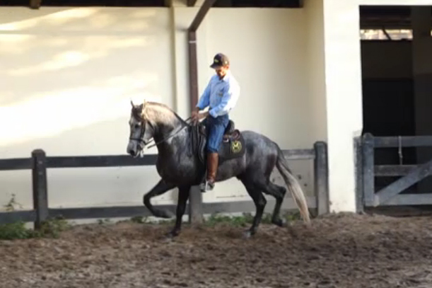 Video auf Vimeo anschauen